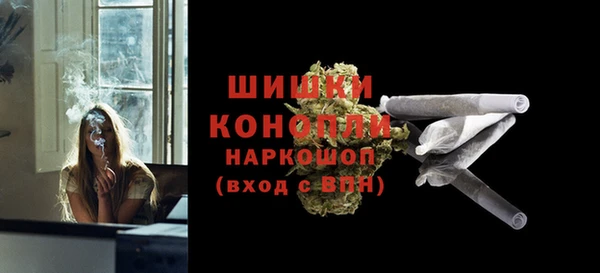 соль ск Заводоуковск