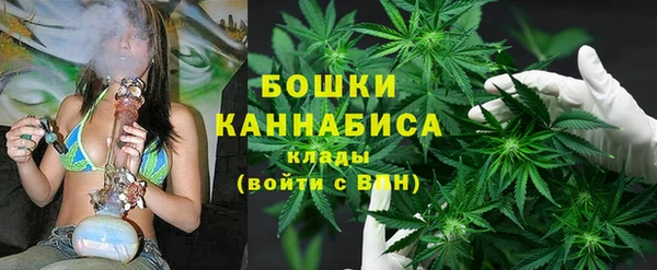 соль ск Заводоуковск