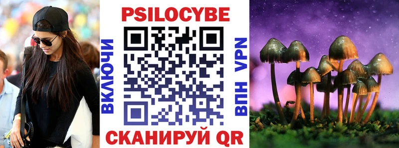 hydra ссылки  Славгород  Псилоцибиновые грибы Magic Shrooms 