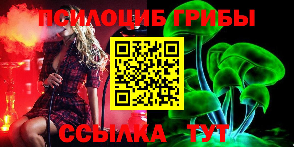Галлюциногенные грибы мухоморы Славгород
