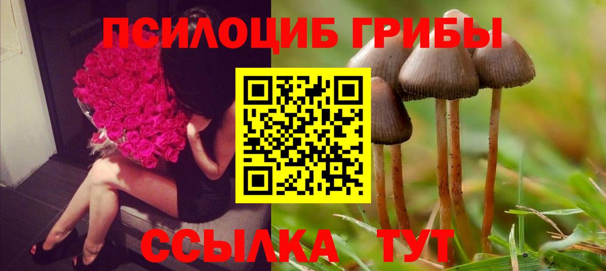 Псилоцибиновые грибы Magic Shrooms  Псилоцибиновые грибы ЛСД  Славгород  Вход с VPN 